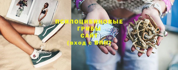 ГАЛЛЮЦИНОГЕННЫЕ ГРИБЫ Алексеевка