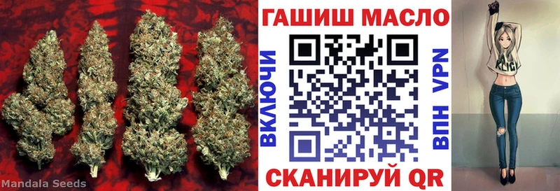 blacksprut ТОР  Выкса  ТГК жижа 