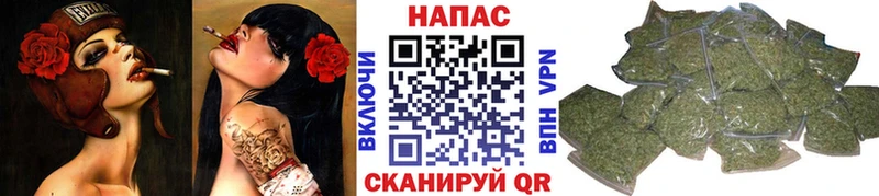 где купить наркотик Выкса Конопля индика